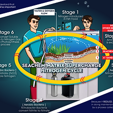 Wix Website Editor _ Big Aquarium - Google Chrome 10_8_2023 2_08_45 PM.png